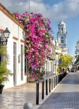 Santo Domingo City Tour